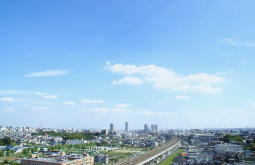 Urban/Regional Management 