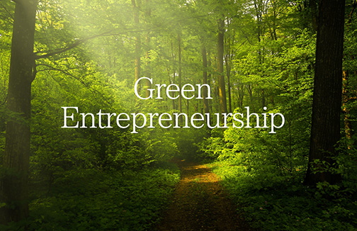 Green Entrepreneurship Studies