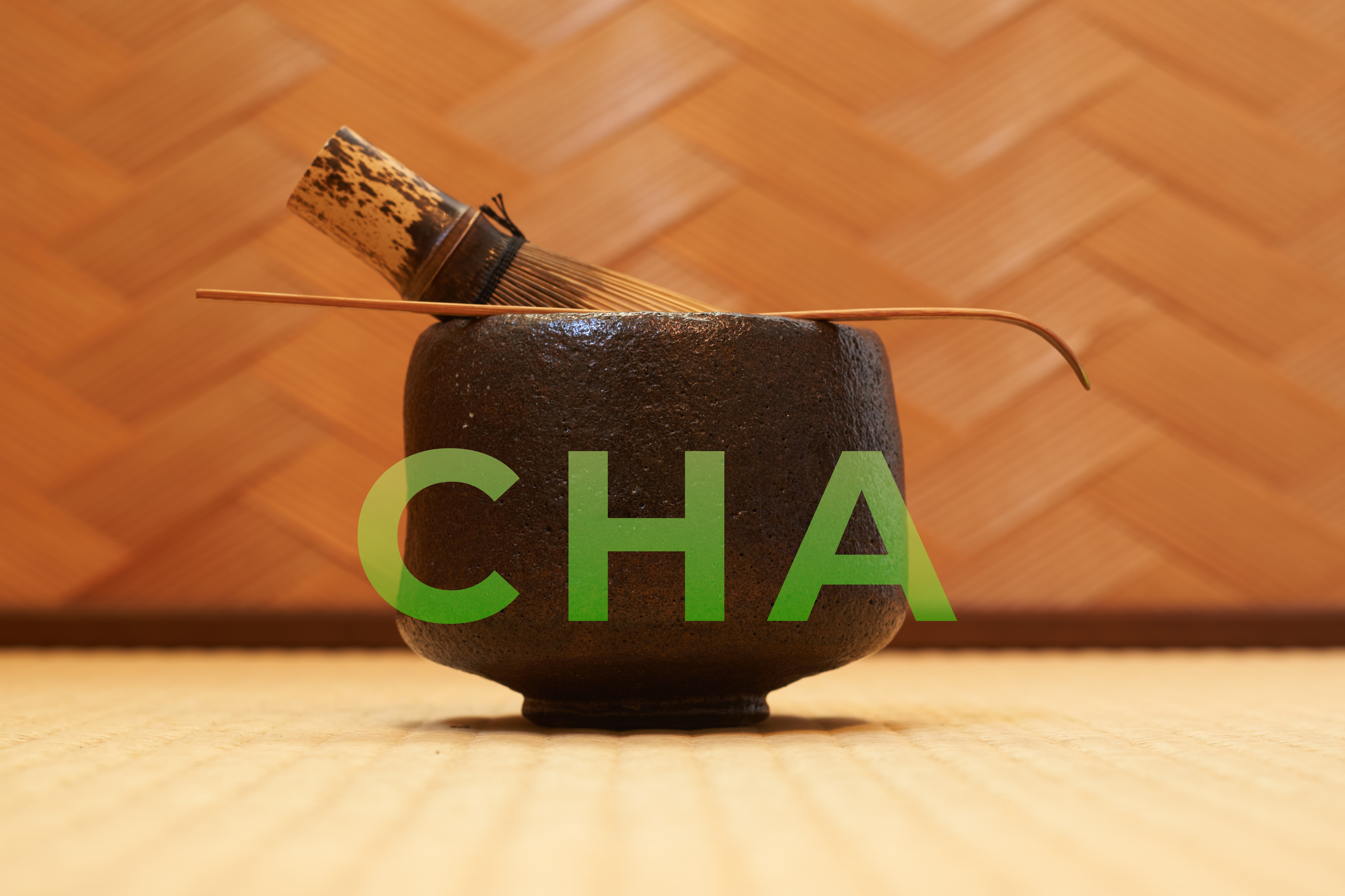 CHA - Creativity in Humanities and Aesthetics 寄附講座